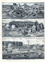 William H. Brawley Stock Farm, Elias Hart Farm Residence, P.H. Beveridge, Edford, Henry County 1875
